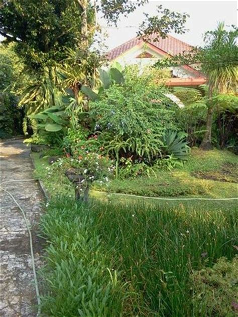 The Garden Family Guest House - Prices & Villa Reviews (Bogor, Indonesia) - TripAdvisor