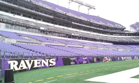 M Bank Stadium, Home of the Baltimore Ravens. | Soccer field, Baltimore ravens, Stadium