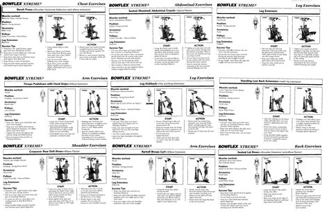 Bowflex Workout Guide