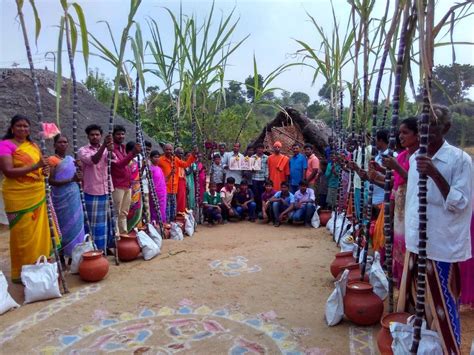 Celebration of Pongal at Nattarampalli, 2017