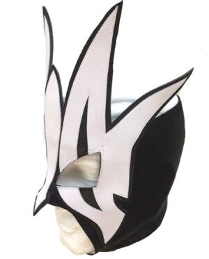 Willow Jeff Hardy wrestling mask - elucha.com