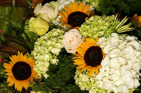 Desktop Wallpapers Bouquets Roses flower Hydrangea Sunflowers