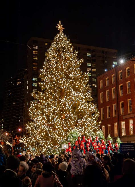 2023 Christmas Tree Lighting + Festivities at the South Street Seaport - New Yorkled Magazine