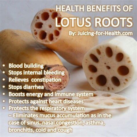 Lotus Roots | Fitness | Pinterest