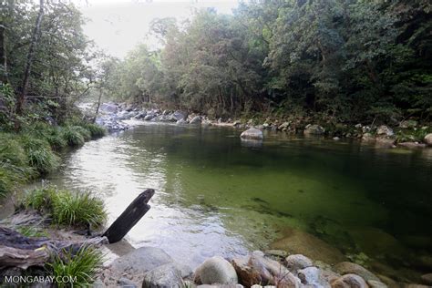 Mossman river [australia_mossman_gorge_416]