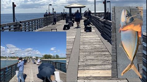 The Best Pier Fishing in South Florida (Mangrove Snapper, Dania Beach ...