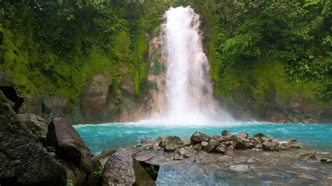 Full-Day Costa Rican Nature Tour with Blue River & Hot Springs