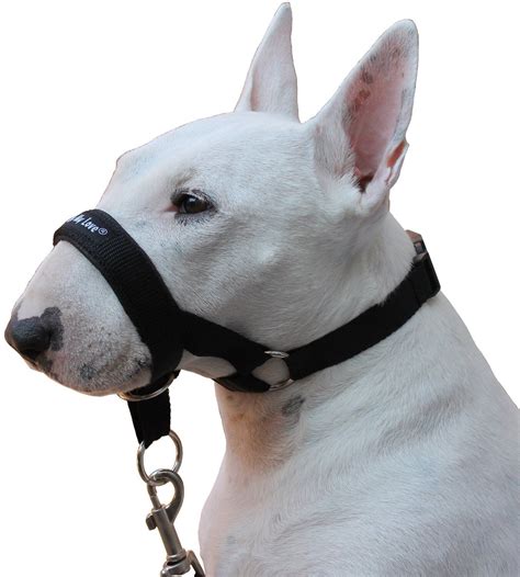 ️ Намордник для собак Nylon Dog Head Collar Halter Black 6 Sizes 🔥 купить