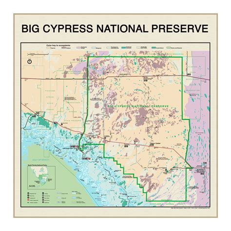 Big Cypress National preserve