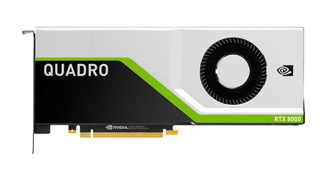 trader brand name Motivate nvidia rtx 8000 Archaic landing Statistical