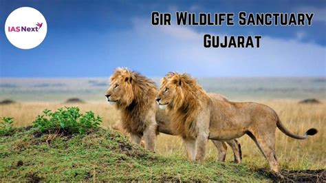 Gir Wildlife Sanctuary, Gujarat