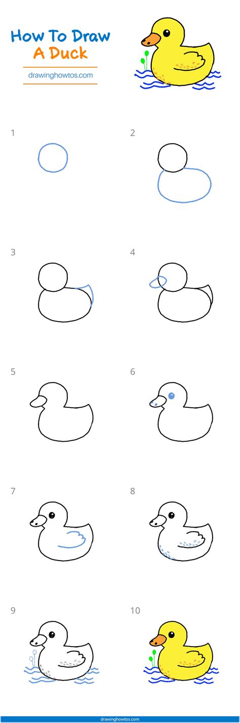 How to Draw a Duck - Step by Step Easy Drawing Guides - Drawing Howtos