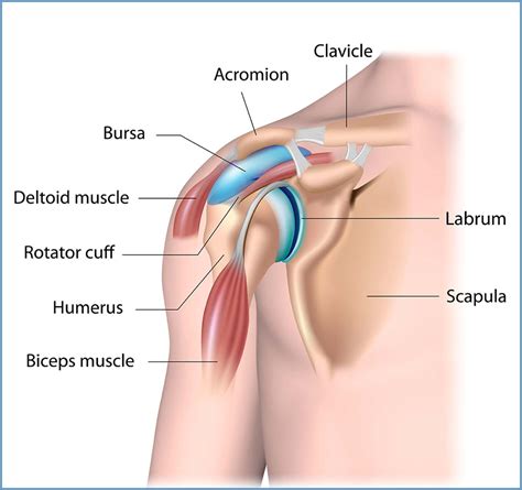 Shoulder Arthroscopy (Shoulder Scope) – Yellowstone Surgery Center