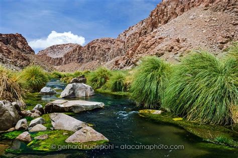 Rio Loa is the longest river of the Atacama desert in Chile, forming a green oasis in the desert ...