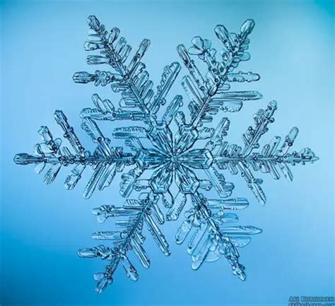 Incredible Macro Photos of Snowflakes - Photodoto