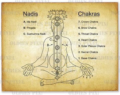 Chakras Nadis Line Art Illustration Hand Drawing Digi Image Clipart ...