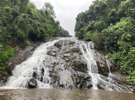 Rainforests and waterfalls: Magoebaskloof uncovered