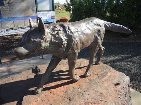 RED DOG Statue. Star of Red Dog the movie at Dampier, WA | Flickr