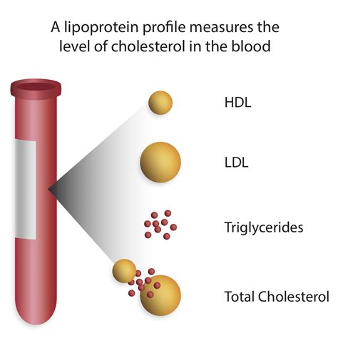 Cholesterol In Medicine - Stepwards