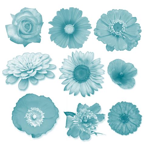 Flower Photoshop Brush Set by starshinesuckerpunch on DeviantArt