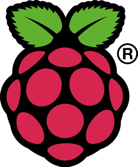 Raspberry Pi Logo / Computers / Logonoid.com