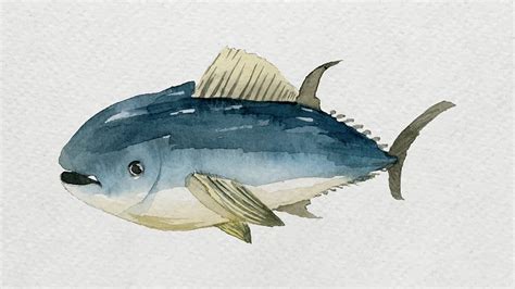 Watercolor painted tuna on white | Premium Vector Illustration - rawpixel