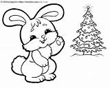Christmas Bunny Coloring Pages sketch template