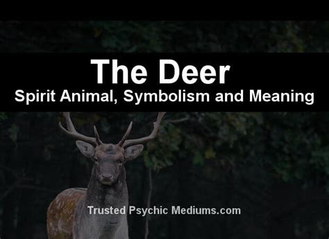 The Deer Spirit Animal - A Complete Guide to Meaning and Symbolism.