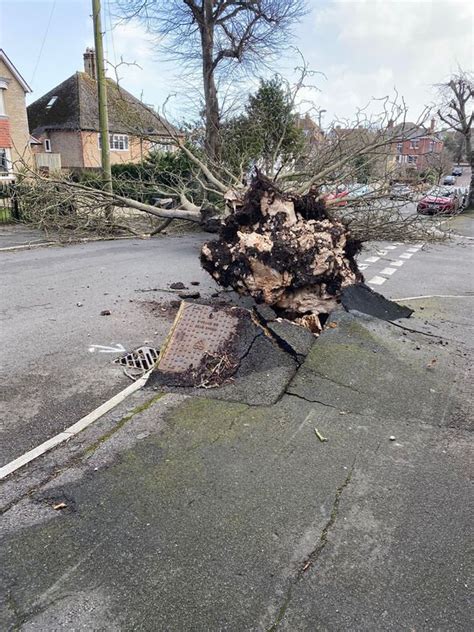 Storm Eunice damage in pictures: Cars crushed & trees ripped from roots ...