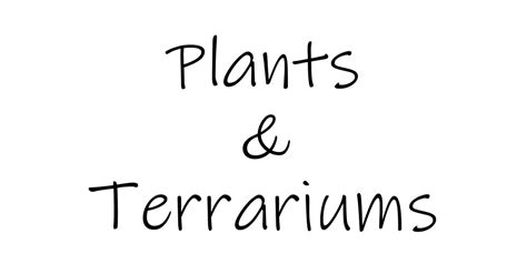 Plants, Pots and Terrariums
