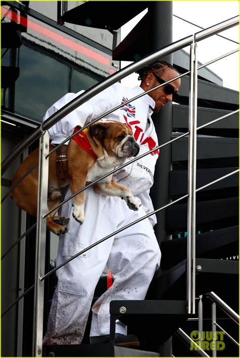 Brad Pitt & Lewis Hamilton Attend F1 Grand Prix of Great Britain, Star ...