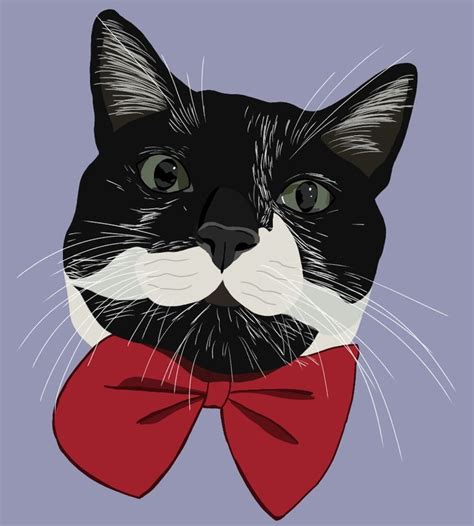 Tuxedo cat | Portrait illustration, Digital illustration, Illustration