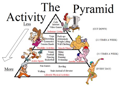 Dimensions of Physical Activity - Monitoring & Promotion of Physical Activity