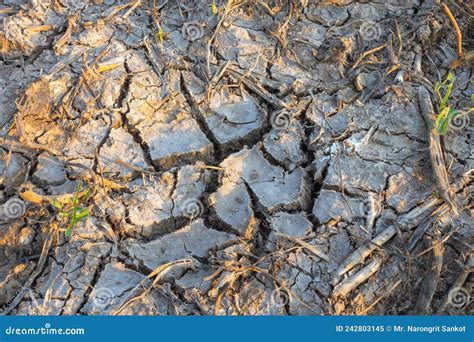 Saline soil stock image. Image of environment, rough - 242803145