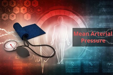 Mean Arterial Pressure: The Scientific Explanation Of Its Mechanism ...