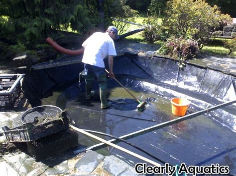 Pond cleaning maintenance 'fish health and consultancy services