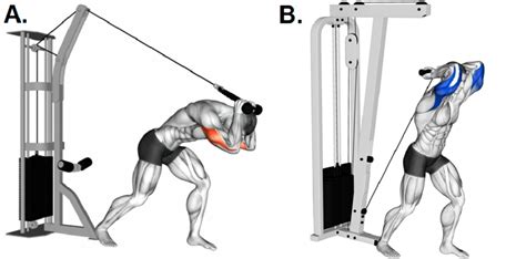 Cable Overhead Tricep Extension: Form, Benefits, and Variations - Phonemantra