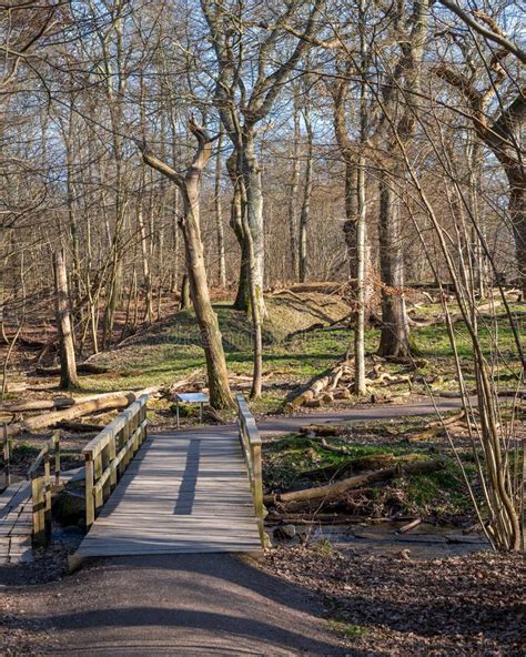 Bridge Over Small Stream in Swedens Smallest National Park Dalby Söderskog Stock Image - Image ...