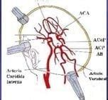 Transcranial Doppler (TCD) Ultrasound • LITFL • CCC Equipment