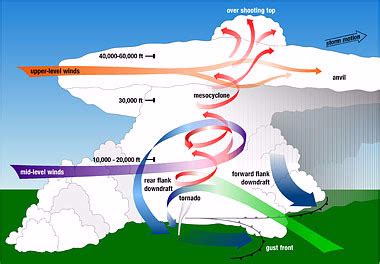 Formation of a tornado and the definition of a tornado Diagram | Quizlet