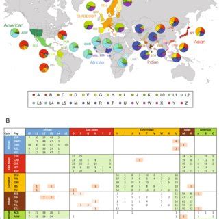 Global distribution of mtDNA haplogroups. a Map showing the names and ...