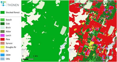 National forest maps of Germany based on current satellite imagery and ...