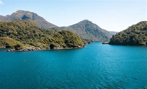 Take A 5-Day Expedition To New Zealand's Remote & Pristine Dusky Sound