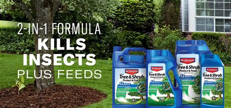 Bayer 3 in 1 Fertilizer Feed Home Depot - Ladd Speame