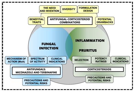 Topical Antifungal-Corticosteroid Combinations | Encyclopedia MDPI