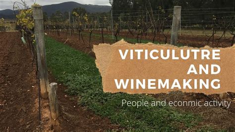 Introduction to viticulture and the wine making industry - YouTube