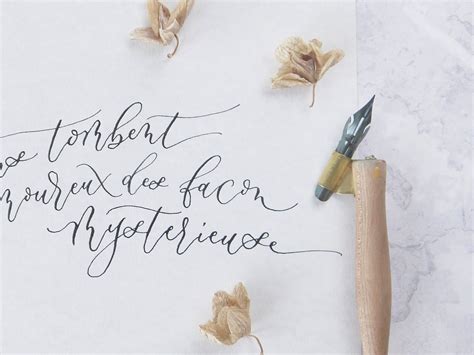 A Guide to Dip Pen Calligraphy Nibs — Mirabelle Makery