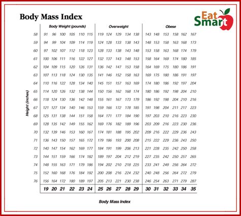 BMI vs Body Fat Percentages - What You Need to Know and How to Measure