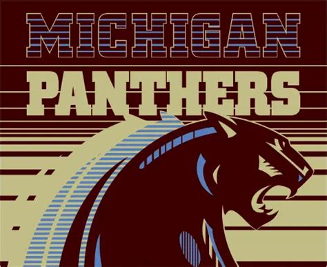 A Brief History of the Michigan Panthers - OurSports Central