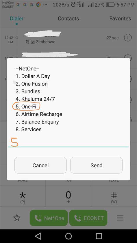 How to check your Netone USD Data bungles balance using USSD